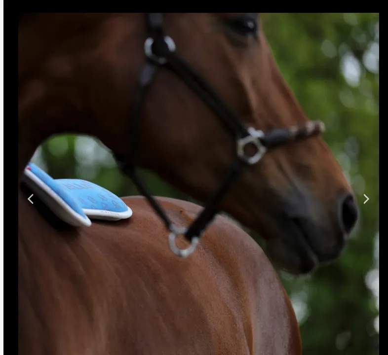ACAVALLO LYCRA MEMO BAMBOO HALF PAD