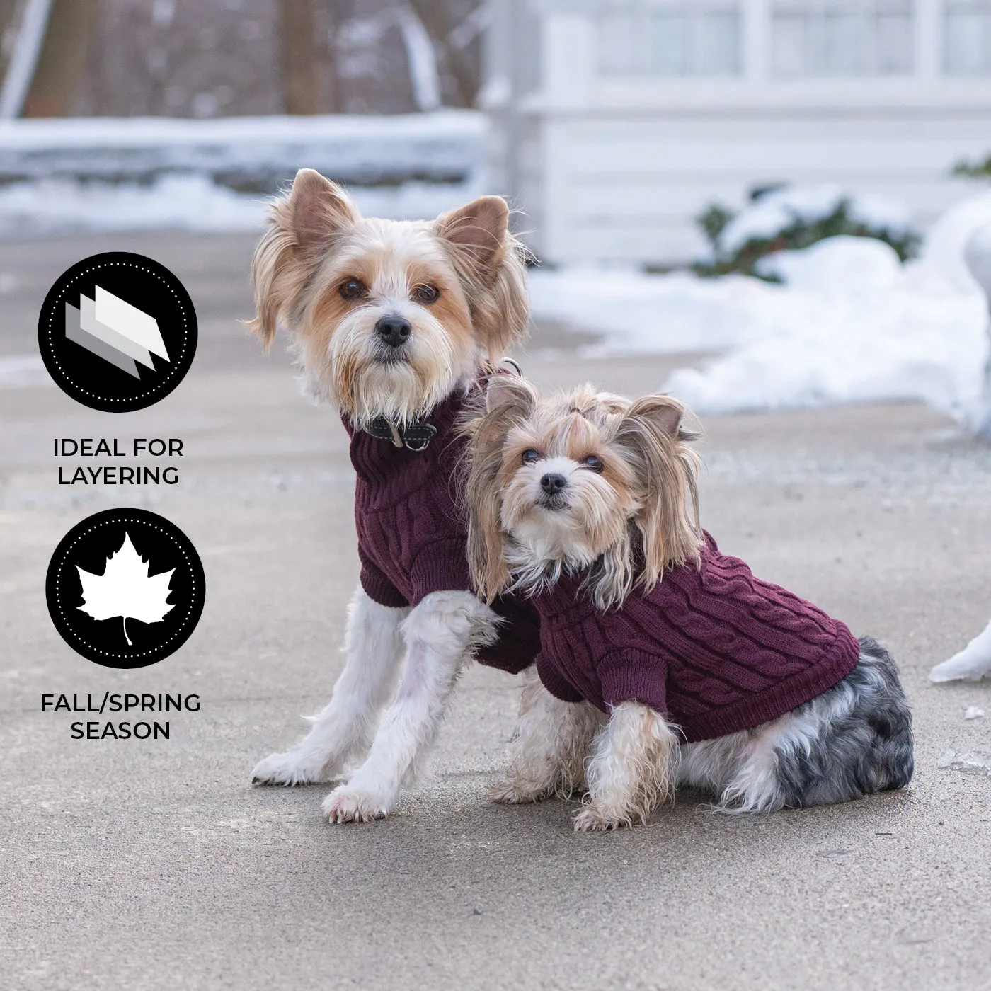 Brentwood Cable Knit Dog Sweater