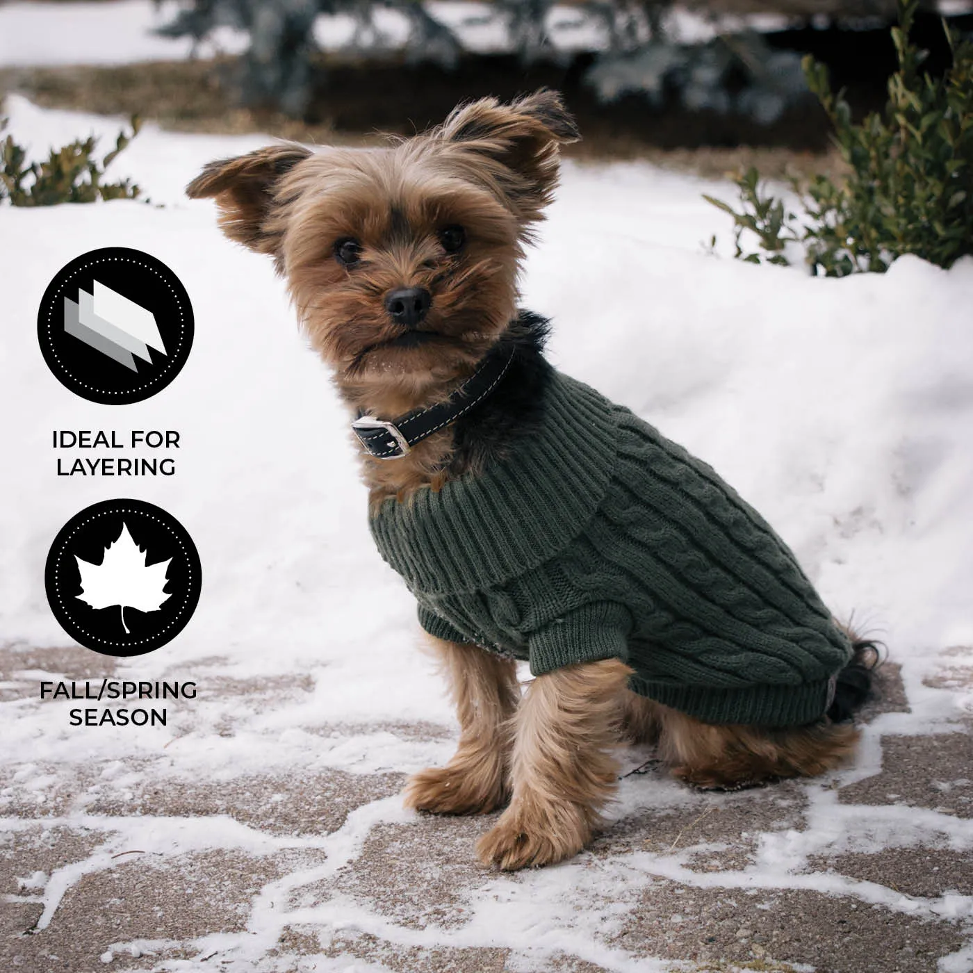 Brentwood Cable Knit Dog Sweater