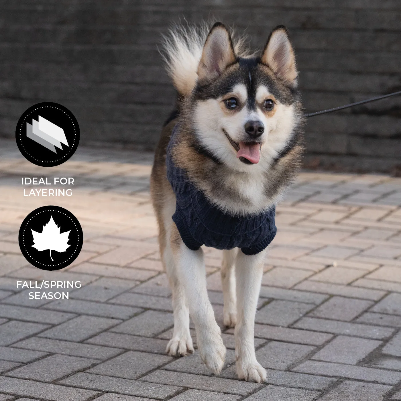 Brentwood Cable Knit Dog Sweater