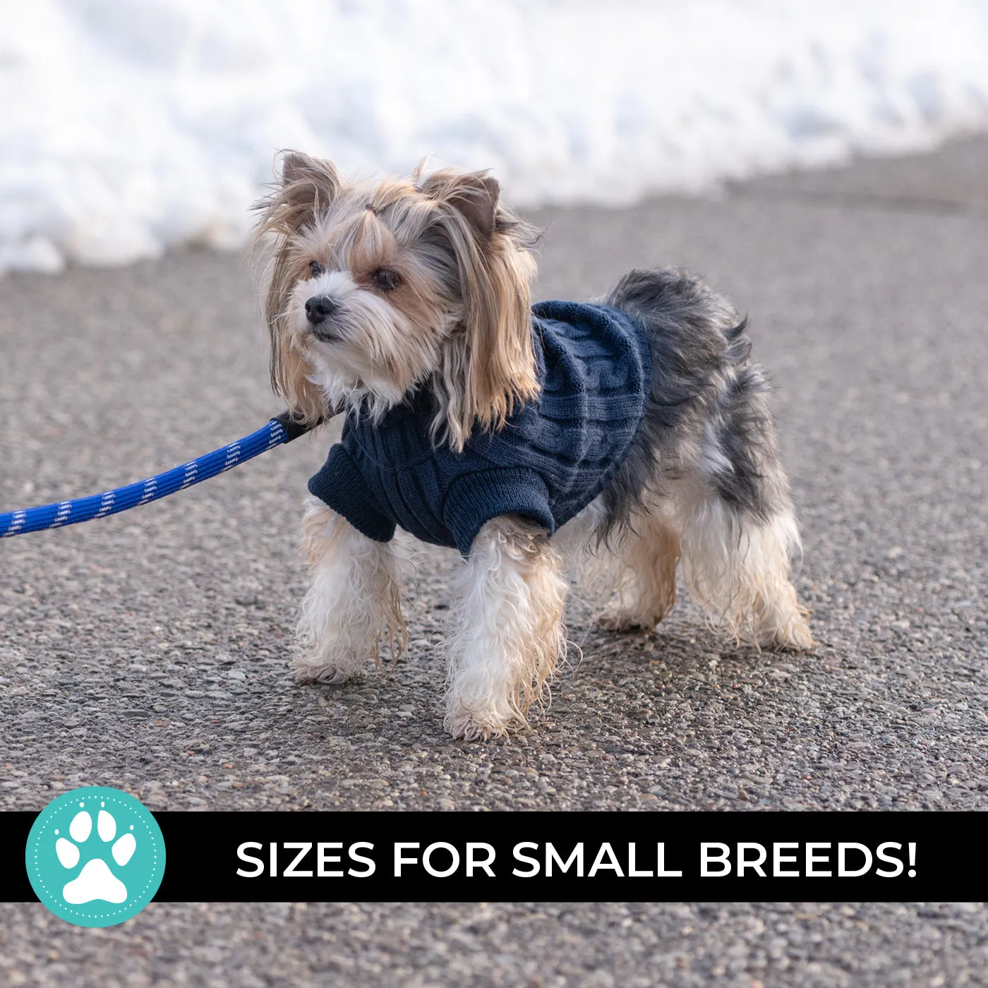 Brentwood Cable Knit Dog Sweater
