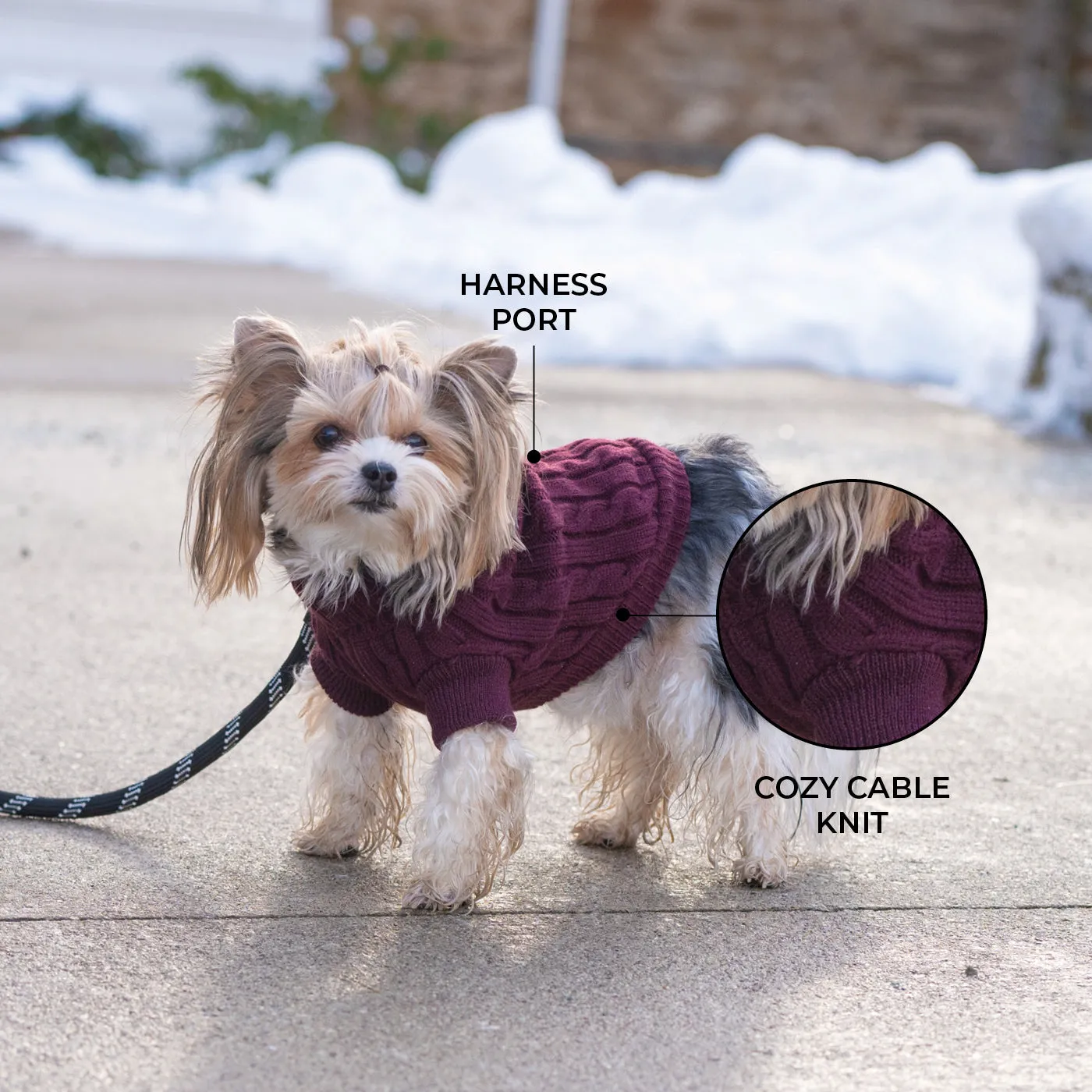 Brentwood Cable Knit Dog Sweater