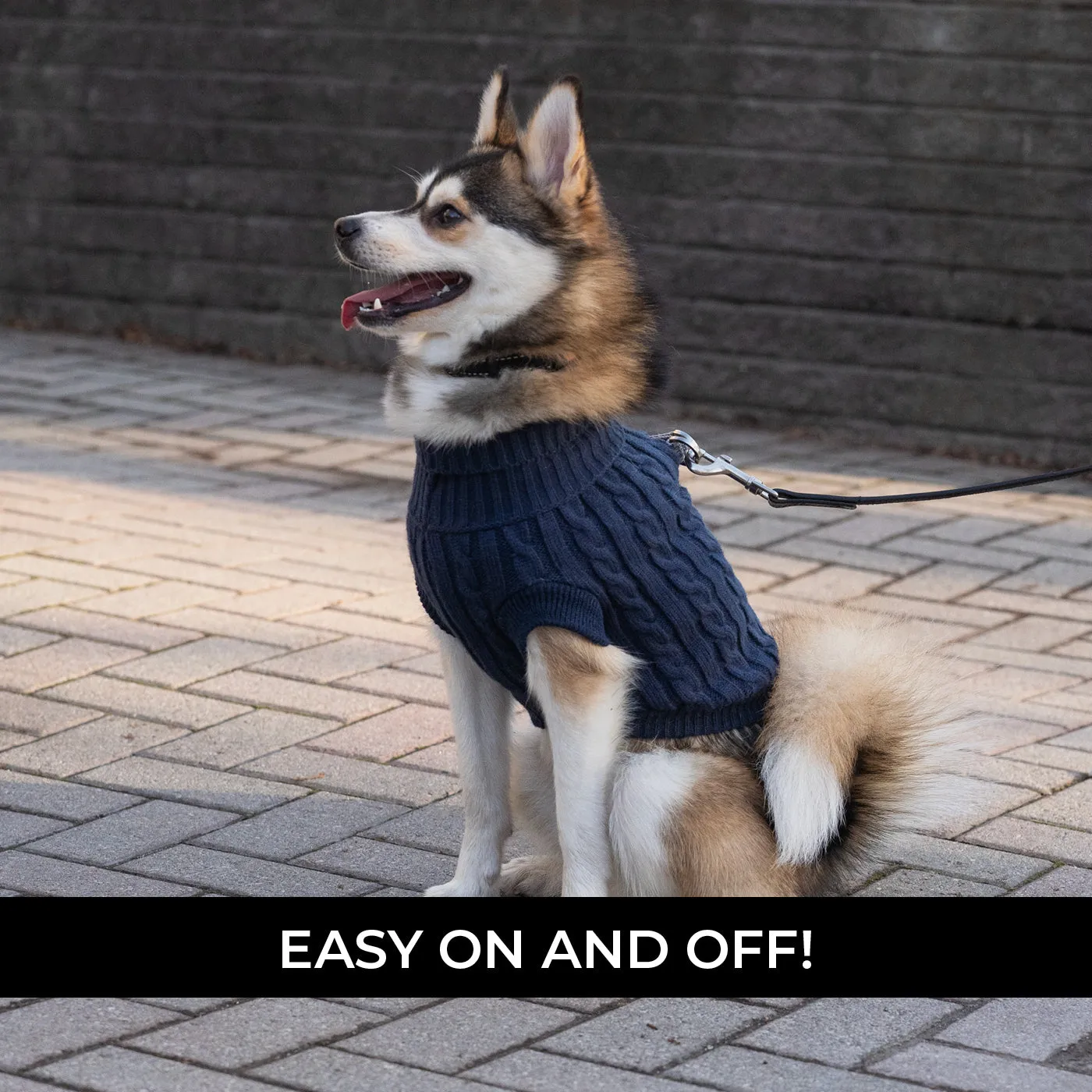 Brentwood Cable Knit Dog Sweater